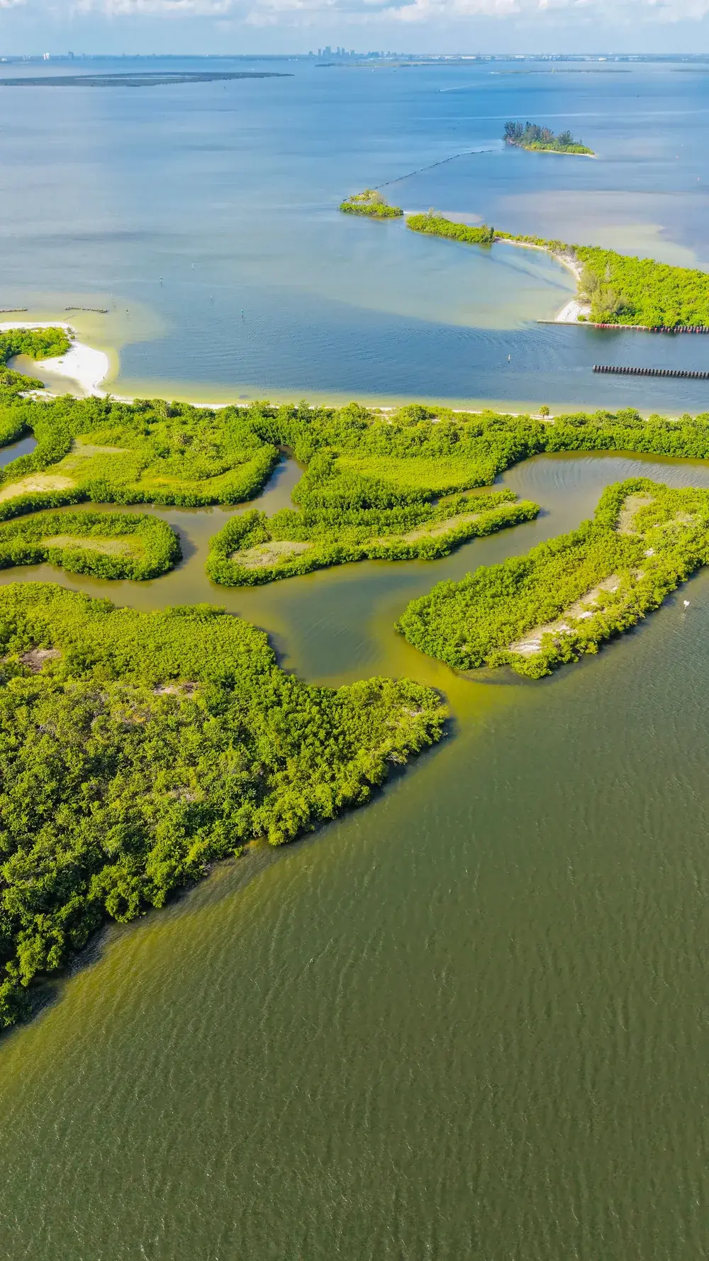 Aerial view of the Southwest Florida mangrove coastline